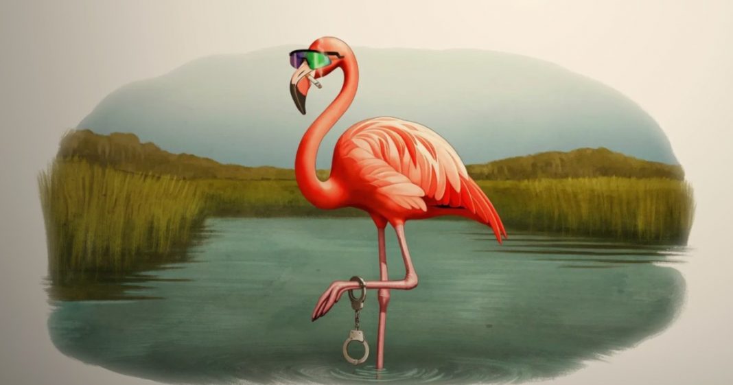 Es Florida, Man Temporada 2 Episodio 5 Fecha de lanzamiento, hora y dónde mirar
